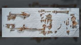 Bones of one of England’s first saints, a 7th-century princess, found in church wall