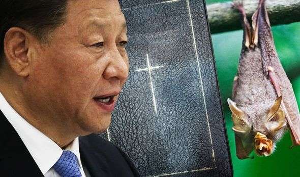 China’s BIBLICAL mistake: Old Testament bans consumption of ‘coronavirus-carrying’ bats