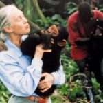 Jane Goodall: Humanity is doomed if we don’t change after this pandemic