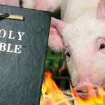 Bible warning: COVID-19 ‘just the start’ of End Times plagues amid new swine flu emergence