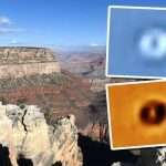 UFO sighting: Video of disk UFO and alien pilot is guaranteed to surprise – claim