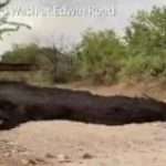 Steaming river of black sludge floods through Arizona