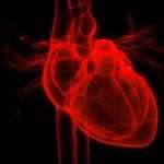 COVID-19 linked to heart damage in healthy people, small study suggests