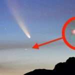 UFO sighting: Comet NEOWISE anomaly is ‘absolutely extraordinary’ proof of UFOs – claim