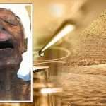 Egypt’s Curse of Pharaohs exposed: How DNA test on ‘screaming mummy’ found shocking truth