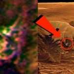 Alien cat on Mars: Conspiracy theorists in bizarre claim about life on Mars