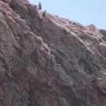 Brit tourist seriously injured after leaping from 70ft Ibiza cliff edge