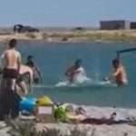 Tourists beat seal ‘until it passes out’ on beach so kids ‘can get pictures’