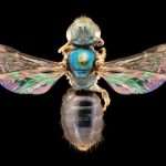 Gorgeous images of Australian ‘rainbow’ bees will blow your mind