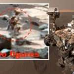 Life on Mars: What are these ‘alien figures’ photographed by NASA’s Curiosity rover?