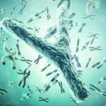 Is the Y chromosome dying out?