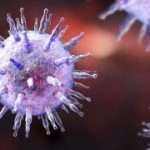 ‘Mono’ virus turns on cancer-related genes. Here’s how.