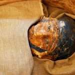 Found 400 years ago, mummies had a CT scan.