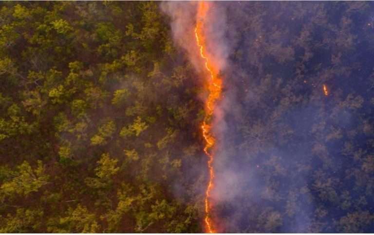 founded a way to detect forest fires at an early stage