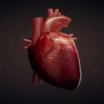 A new way to repair heart defects