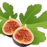 The fig mosaic virus was sequenced in Russia for the first time