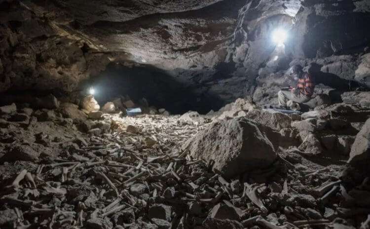 Creepy cave with lots of bones found in Saudi Arabia