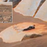 UFO enthusiast ‘proves’ life on Mars after discovering alien in NASA image