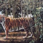 You have 20/20 vision if you can spot the hidden tiger in less than 9 seconds