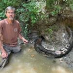 Amateur Fossil Hunter Finds 7-Foot Mammoth Tusk In Mississippi