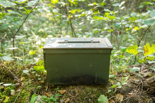 Travel blogger gets surprise of her life after opening box in forest