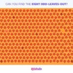 Brainteaser: Spot the eight odd leaves