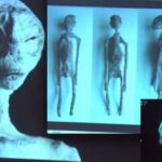 Scientists make startling discovery after dissecting bodies of ‘alien mummies’