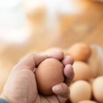 You’re storing eggs wrong as expert shares correct method