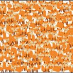 You have the ‘IQ of a professor’ if you can spot the cat in 8 seconds