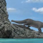 Scientists Discover Remains Of Ancient Four-Legged Whale In Peru