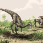 Secrets of the first dinosaurs are hidden in the tropical forests of the Sahara and Amazon, researchers suggest