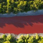 Argentina Canal Turns into 'Bloodstream' as Residents Fear Toxic Leak