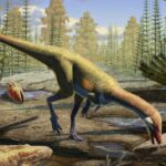 North America's oldest known dinosaur is a chicken-sized predator that changes our understanding of how dinosaurs conquered the Earth