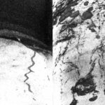 Strange corkscrew burrows and other unexpected structures discovered 4.7 miles deep in the Japan Trench