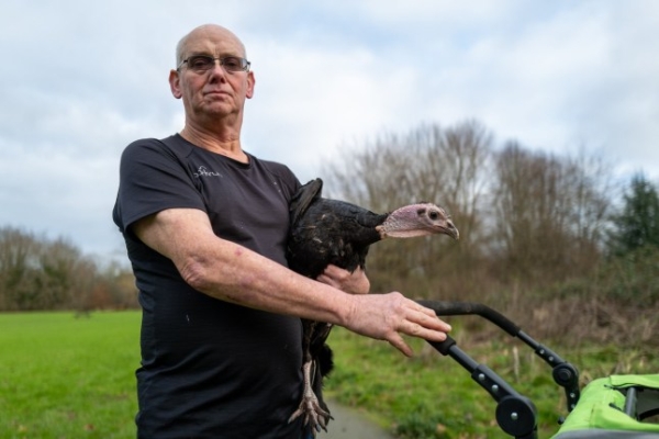 Dave Brooker with his pet turkey T2. Dave is doing a park run on Christmas day with his pet turkey. An animal lover will try to convince people to go vegetarian this festive season - by taking his pet turkey to a Christmas Day Parkrun. Those out for a festive 5k run in Maidstone, Kent, will be shocked to see the animal following them in a buggy pushed by Dave Brooker this year before heading home to tuck into their Christmas dinners. The 58-year-old takes his beloved pet turkey Trouble Version Two, or T2 for short, everywhere with him - including to the pub and dentist. Locals in Maidstone are often baffled as they see Mr Brooker sat alongside T2 in his car when they stop at traffic lights, or when he feeds her her favourite snack - the meat from a scotch egg - in the middle of a Tesco's car park.