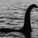 The Loch Ness Monster microbe can stretch its neck 30 times longer than its body in seconds