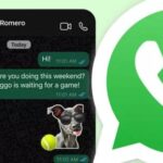 WhatsApp tells users to check their phones now or miss out on free upgrade this week