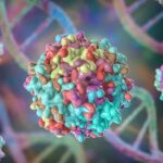 Gene therapy injection into brain stops alcohol addiction in monkeys