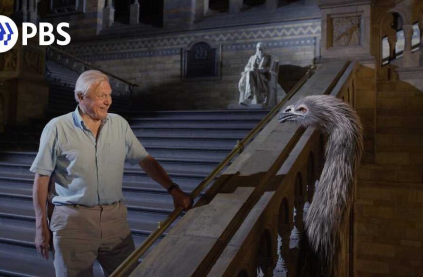 Watch Museum Alive with David Attenborough – Streaming in the US and UK