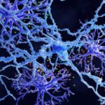 Scientists have discovered a previously unseen type of brain cell