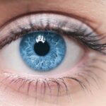 Your pupils can count… something like this