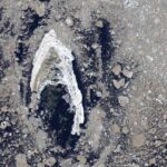 Earth from Space: Iconic Star Trek symbol glows bright against murky Arctic ice