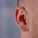 The “rudimentary” muscle responsible for moving the human ear actually tenses up when we strain our ears