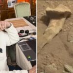 Former CIA agent claims there was life on Mars and saw 'bones' on the surface