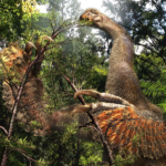 'Excellently Preserved' Giant Claws From Mongolia Reveal Bizarre Dinosaur Evolution