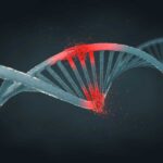 People with this rare genetic disorder cannot repair damage to their DNA.