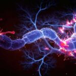 The world's first computer that combines the human brain and silicon is now available