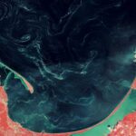 Mysterious Substance Spotted Swirling on Surface of Baltic Sea – Earth from Space