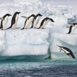 What's hidden beneath the ice of Antarctica?