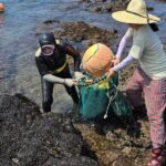 South Korea's legendary 'sea women' dive for up to 80 years. New research hints at how it happens.